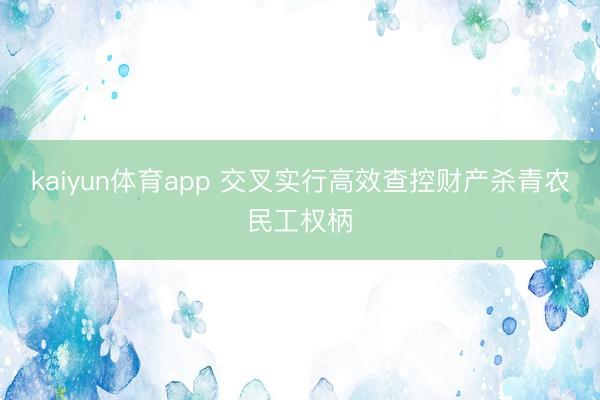 kaiyun体育app 交叉实行高效查控财产杀青农民工权柄
