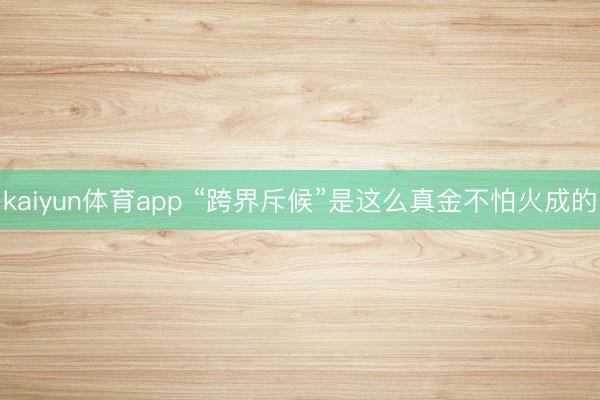 kaiyun体育app “跨界斥候”是这么真金不怕火成的