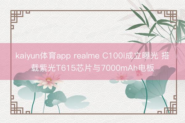 kaiyun体育app realme C100i成立曝光 搭载紫光T615芯片与7000mAh电板