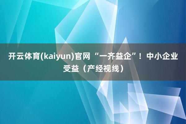 开云体育(kaiyun)官网 “一齐益企”!中小企业受益(产经视线)