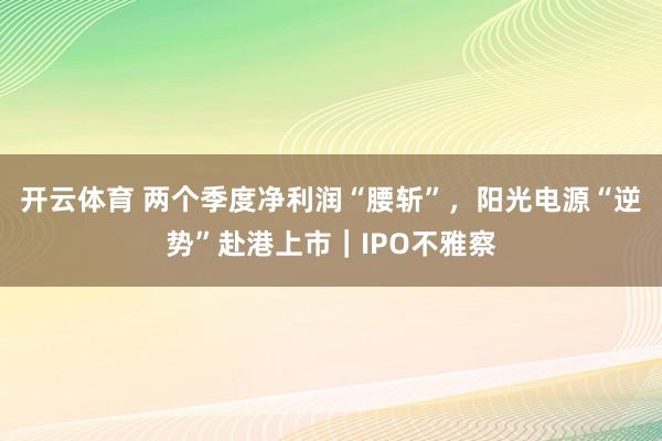 开云体育 两个季度净利润“腰斩”，阳光电源“逆势”赴港上市｜IPO不雅察