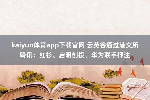 kaiyun体育app下载官网 云英谷通过港交所聆讯：红杉、启明创投、华为联手押注