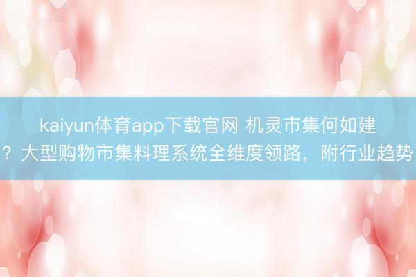 kaiyun体育app下载官网 机灵市集何如建？大型购物市集料理系统全维度领路，附行业趋势
