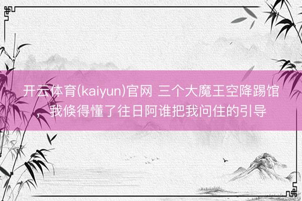 开云体育(kaiyun)官网 三个大魔王空降踢馆，我倏得懂了往日阿谁把我问住的引导