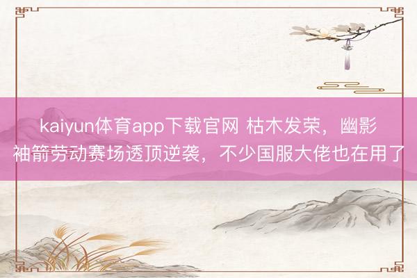 kaiyun体育app下载官网 枯木发荣，幽影袖箭劳动赛场透顶逆袭，不少国服大佬也在用了