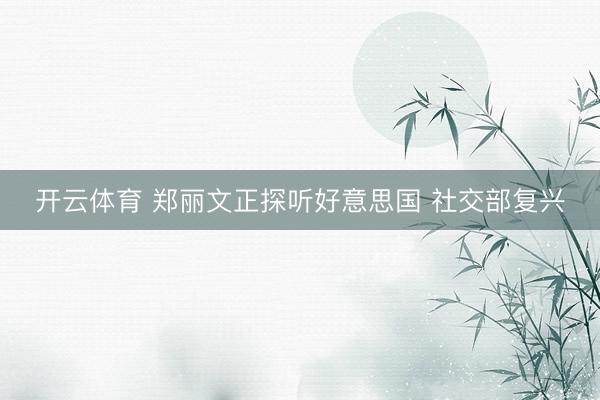 开云体育 郑丽文正探听好意思国 社交部复兴
