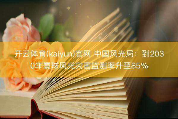 开云体育(kaiyun)官网 中国风光局：到2030年寰球风光灾害监测率升至85%