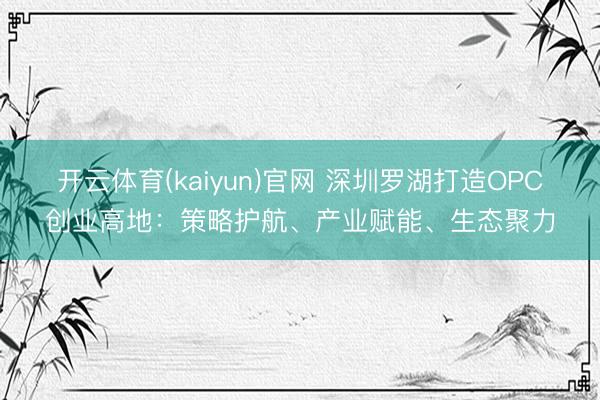 开云体育(kaiyun)官网 深圳罗湖打造OPC创业高地：策略护航、产业赋能、生态聚力